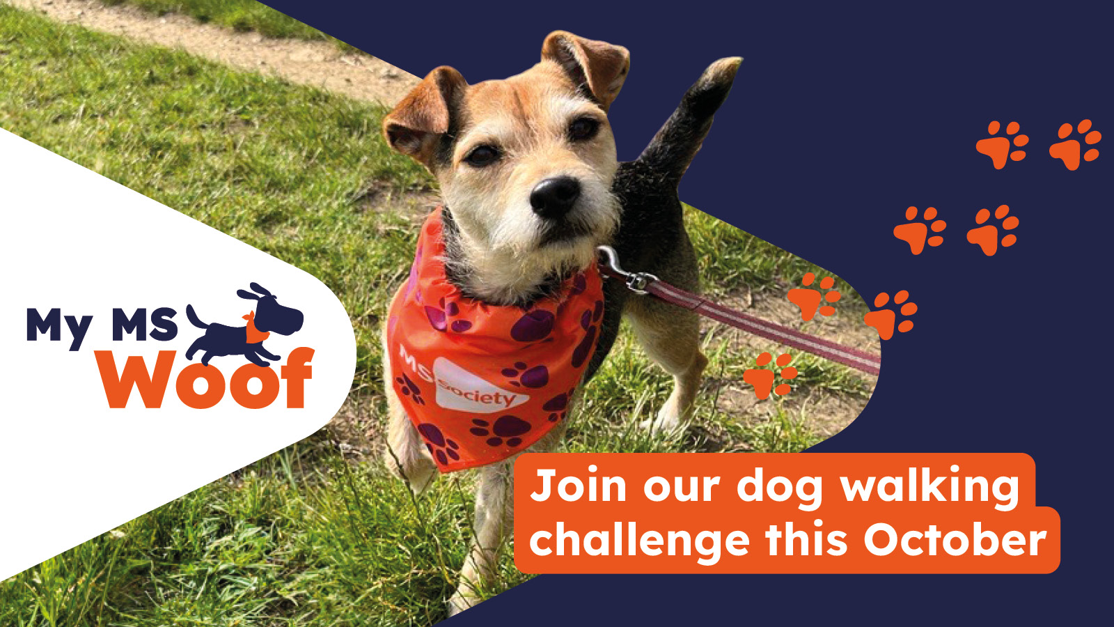 Charity Dog Walking My MS Woof MS Society